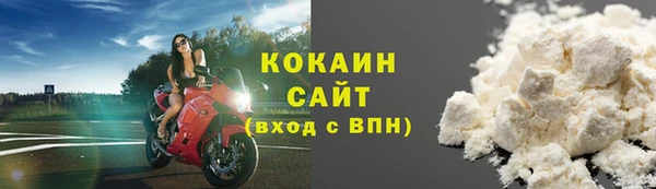 сатива Аркадак