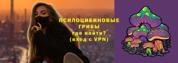 сатива Аркадак