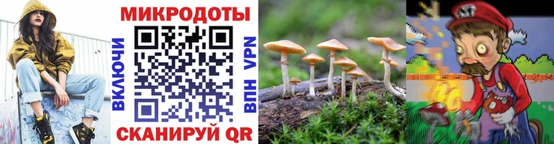 Псилоцибиновые грибы мицелий Новый Уренгой