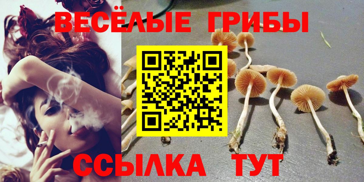 Галлюциногенные грибы Psilocybe  Вход с VPN  Галлюциногенные грибы Psilocybine cubensis  что такое наркотик  Новый Уренгой 