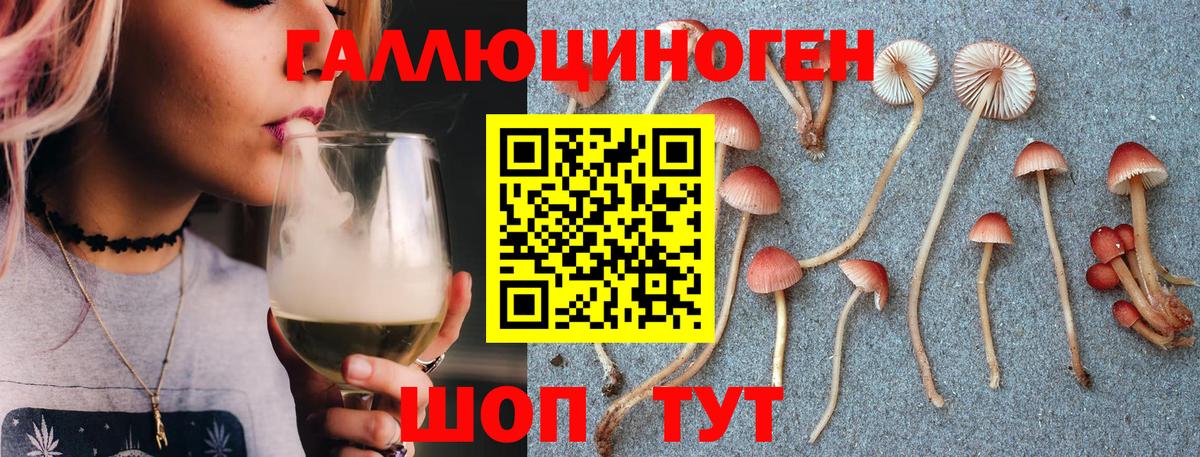 Псилоцибиновые грибы ЛСД Новый Уренгой