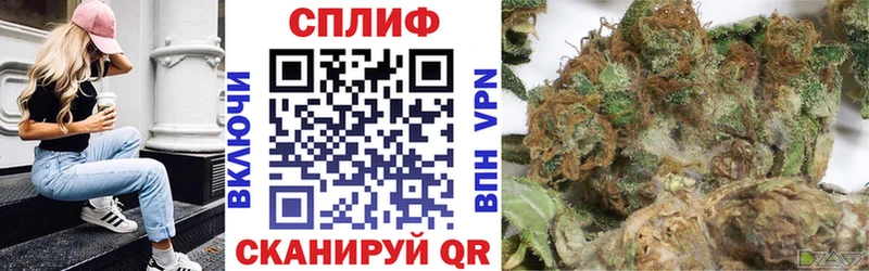 Шишки марихуана сатива  даркнет официальный сайт  Новый Уренгой 